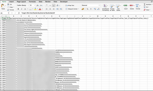 Screenshot of a Majestic Report in CSV Format imported into Excel